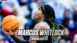 Marcus Whitlock Highlights '23