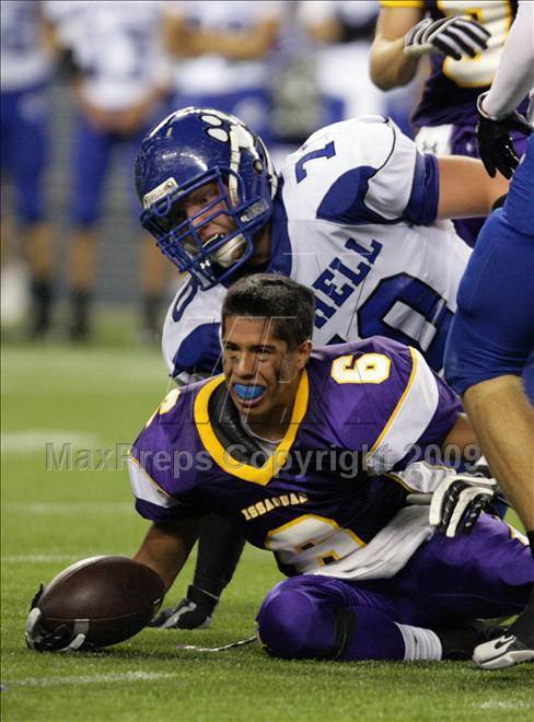 Juliann Tallino High School Sports Photographer Bio