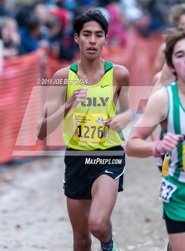 Photo 31 in the CIF State Cross Country Championships (Boys D1 Race