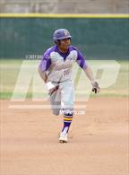 Photo from the gallery "Righetti @ St. Joseph"