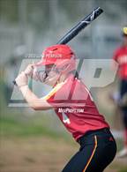 Photo from the gallery "St. Francis @ Franklin"