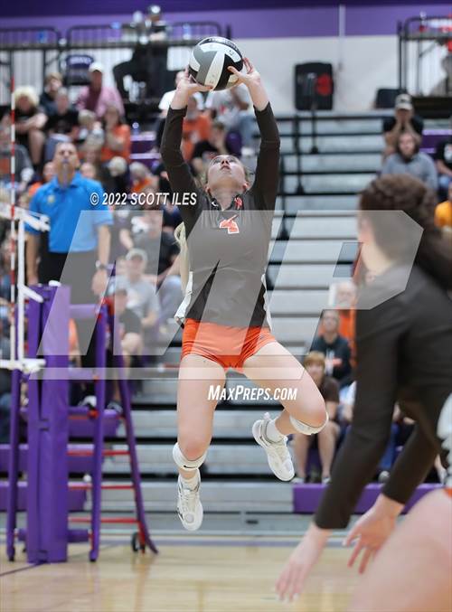 Ohsaa Boys Volleyball 2024 Brackets Belita Johnna