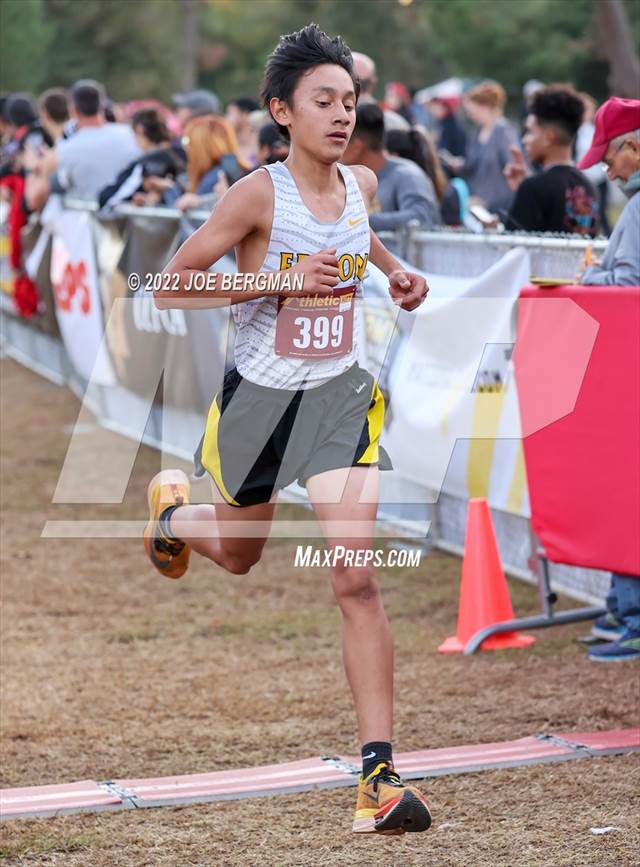 Photo 74 in the CIF Central Section Cross Country Championships (Boys