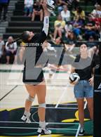 Photo from the gallery "Queen Creek @ Basha"