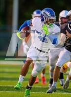 Photo from the gallery "East Lake @ Steinbrenner"