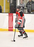 Photo from the gallery "Colorado Academy @ Heritage"
