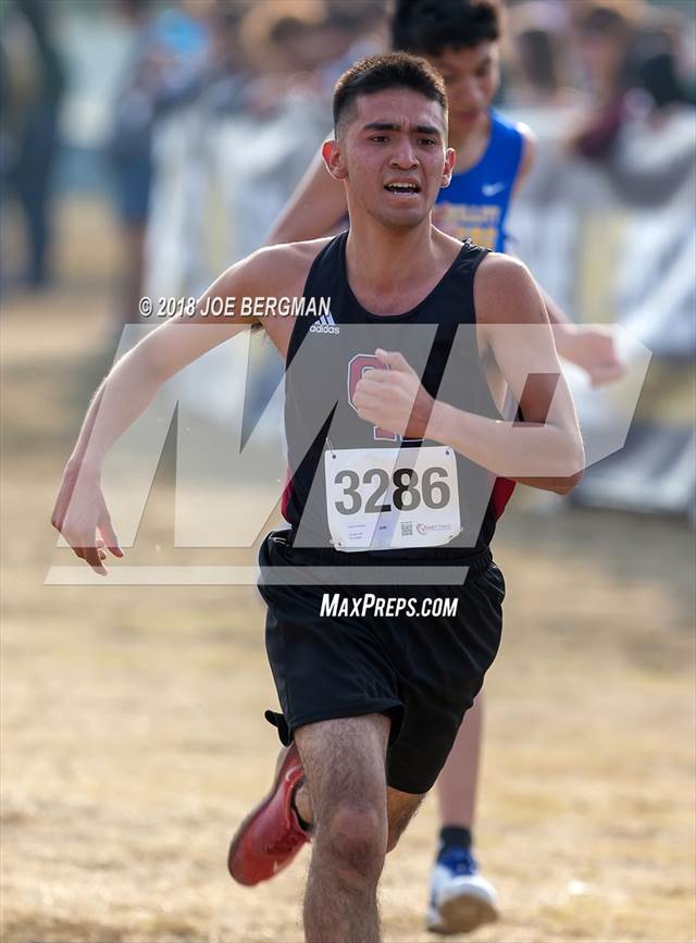 Photo 156 in the CIF Central Section Cross Country Championships (Boys