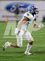 Photo from the gallery "Cactus @ Higley (AIA 5A Final)"