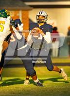 Photo from the gallery "Pine Forest @ Terry Sanford"