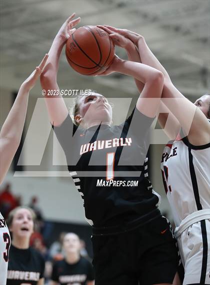 Thumbnail 3 in Waverly vs Circleville (OHSAA D2 Sectional Final) photogallery.