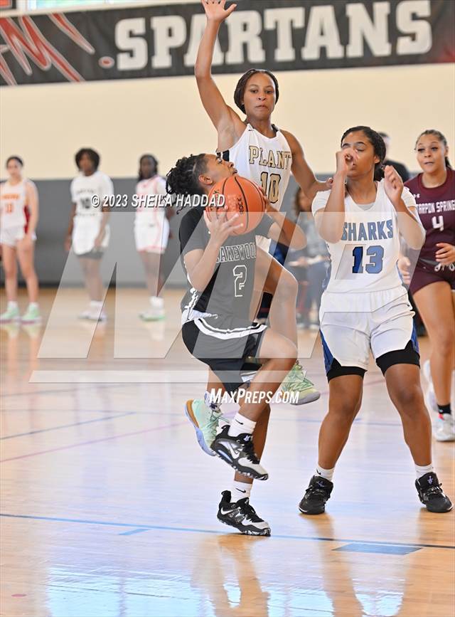 2024 Tournaments Pinellas County Florida Basketball Dori Sherilyn