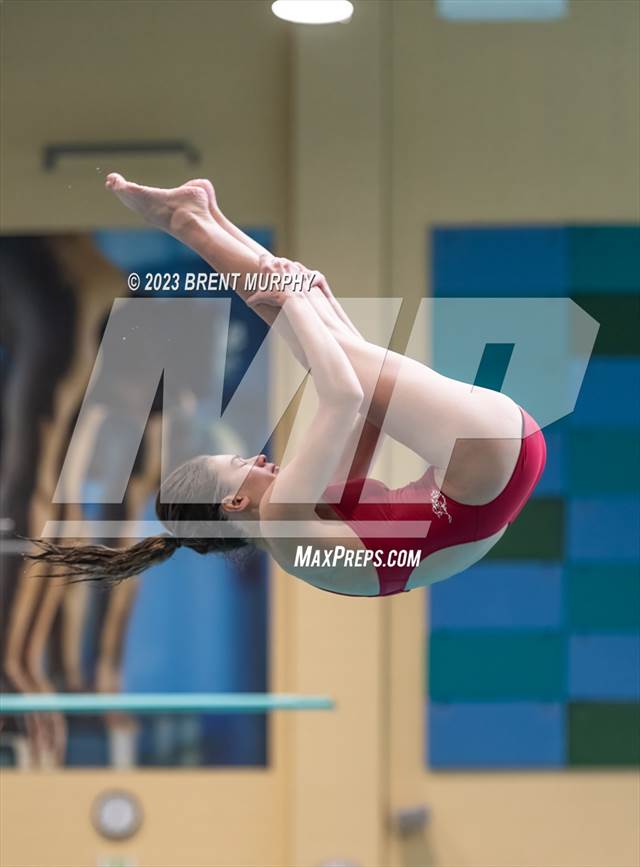 Photo 206 in the CHSAA 3A Girls Diving State Championship Photo