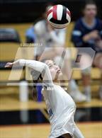 Photo from the gallery "Yorktown @ James Madison"