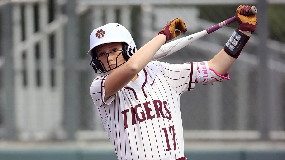 Softball home run leaders