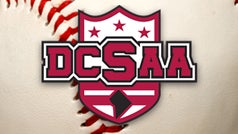 DCSAA Baseball: Stats Leaders