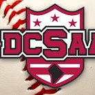DCSAA Baseball: Stats Leaders