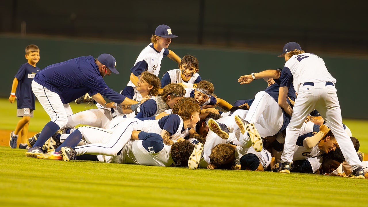 BASEBALL: Champions in every state