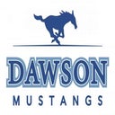Dawson School