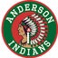 Anderson High School 