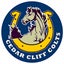 Cedar Cliff High School 