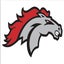 Greater Cabarrus Stallions High School 