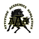 Triple A Academy