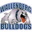 Wallenberg High School 